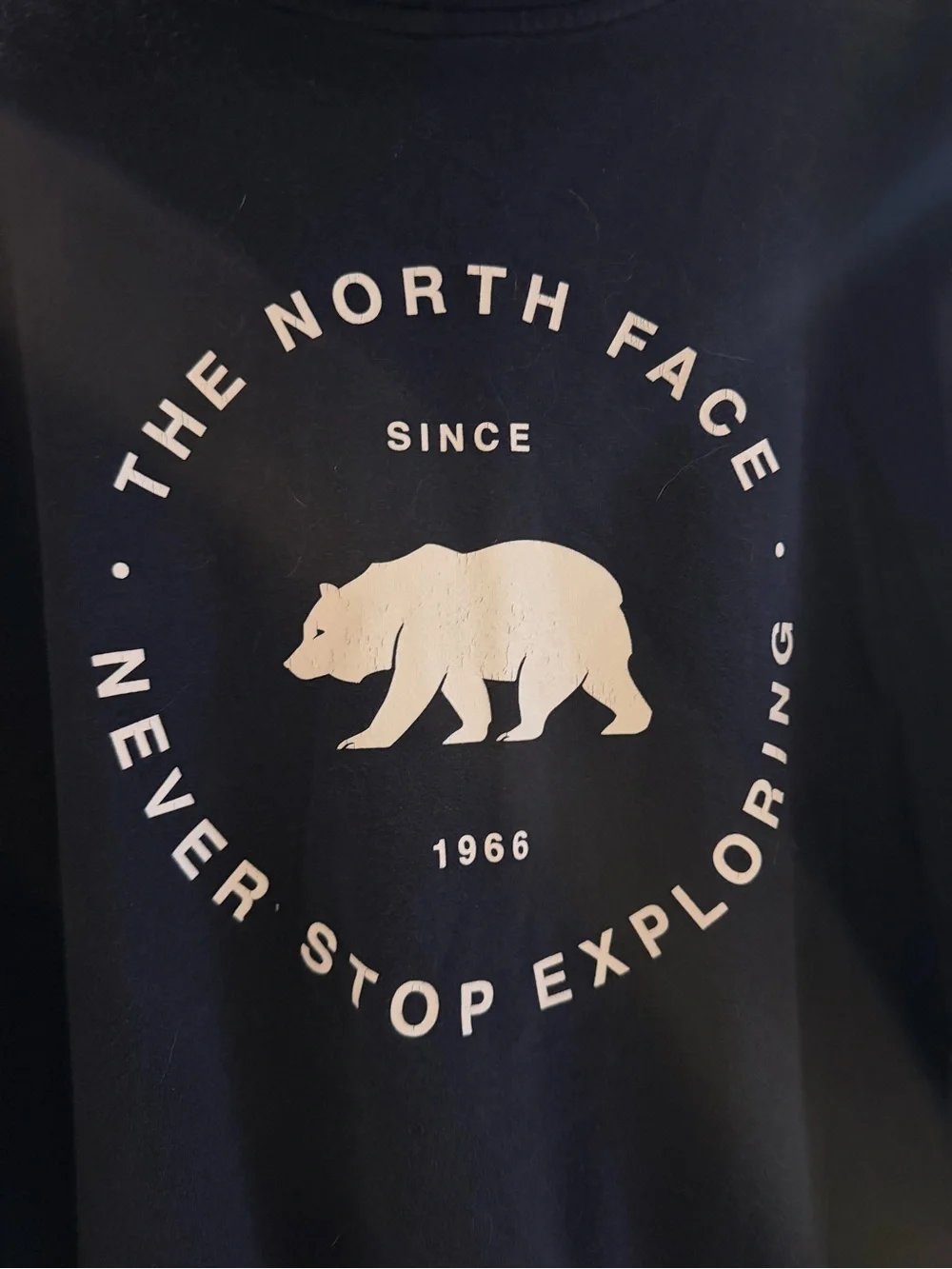 The North Face Men's Dark Navy Pullover Hoodie with Logo
